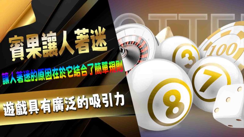 為什麼賓果讓人著迷？